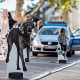 Ablenkung am Steuer - Auf der Wegstrecke einer unachtsamen Sekunde